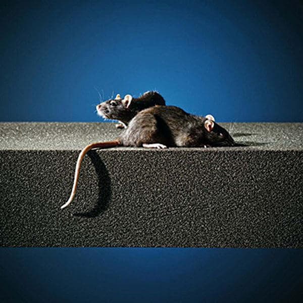 Пеностекло гранулированное