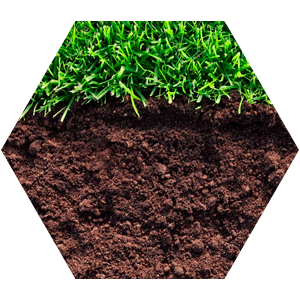 Грунт плодородный